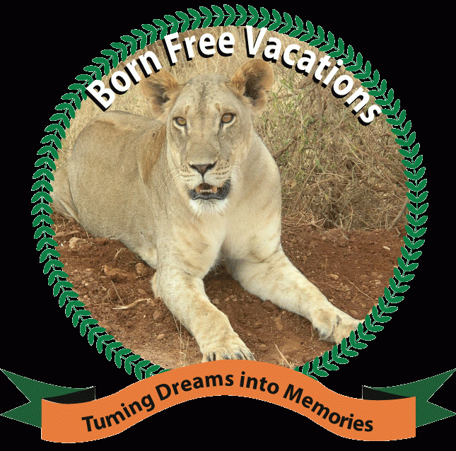 Bornfree Vacations
