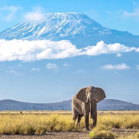 climb-mount-kilimanjaro